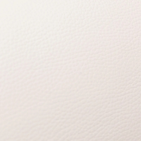 Ivory Beige