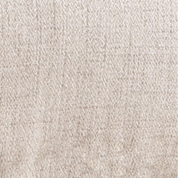 Ivory53