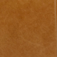 Kiwi Brown
