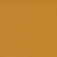 Lemon Yellow NS88