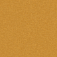 Lemon Yellow