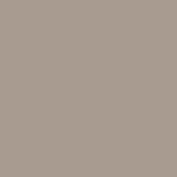 Light Gray 301