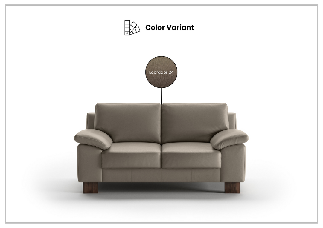 Poet Loveseat Sofa with HR Foam-SOFABED