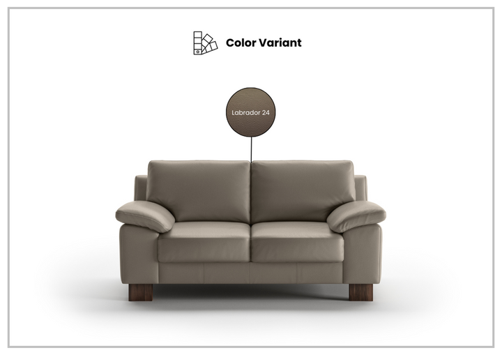 Poet Loveseat Sofa with HR Foam-SOFABED