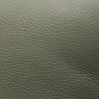 Lunar Green