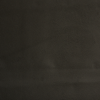 NL-101-Black