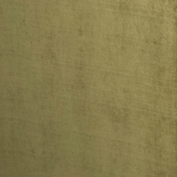 Olive Green01