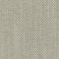 Olive Grey