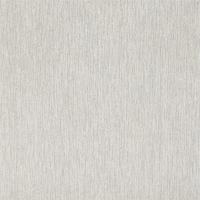 Pale Silver 77