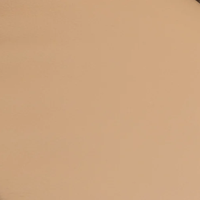 Pale Taupe