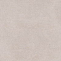 Pastel Beige