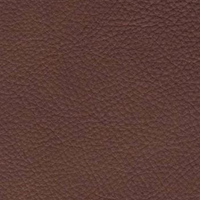 Pecan Brown