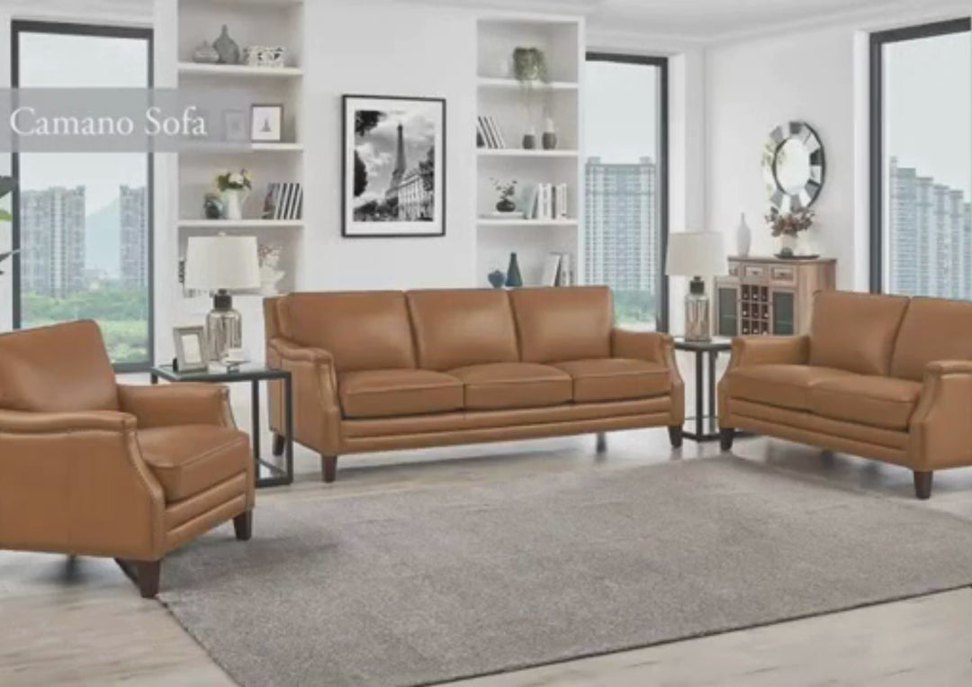 Hydeline Camano Brown Premium Leather Arm Chair with Nailhead Trim Finish