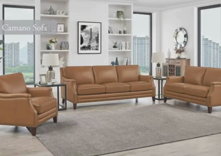 Hydeline Camano Brown Premium Leather Arm Chair with Nailhead Trim Finish