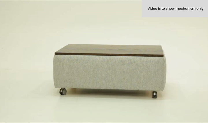 Functional Coffee Table with Casters-SofaBed