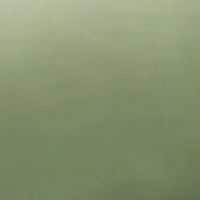 Savage Green
