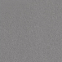 Silver Gray 2