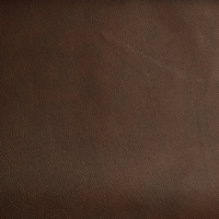 SL 241 Mocha