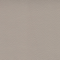 Soft Grey N809
