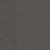 Steel 2068