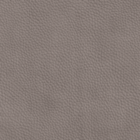 stone Gray