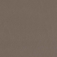 Taupe Brown