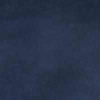 Tuna Blue78