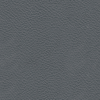 Vampire Gray